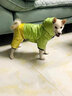 超可耐防風(fēng)防水比熊衣服秋冬加厚狗狗衣服小型犬泰迪博美雪納瑞四腳棉衣 綠色 L碼（適合8-10斤） 曬單實(shí)拍圖
