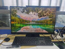 戴爾（DELL）成就3030升級ECT1250 14代酷睿i3/i5高性能家用商用企業(yè)采購辦公主機塔式機箱臺式機電腦 全套整機 單主機（含鍵盤(pán)鼠標） i5-14400F 16G內存512G固態(tài)4G獨顯 曬單實(shí)拍圖