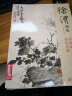 经典全集 徐渭画集 8开中国画临摹画册书籍写意泼墨水墨国画杂花图花鸟技法教材程高清临本册页 初学者花卉名作赏析鉴赏杨建飞主编 实拍图