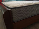 NITORI宜得利家居 家具 彈簧結(jié)實耐用海綿床墊加厚席夢思N-SLEEP CV-2 180*200*23 曬單實拍圖