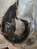 御瀘鮮湘現殺現發(fā)鱘魚(yú)鮮活新鮮整條海鮮活體軟骨無(wú)刺食用火鍋食材高檔送禮 3.5斤一條現殺現發(fā) 曬單實(shí)拍圖