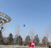爱吃鱼（aichiyu）潍坊风筝儿童成人户外风筝户外亲子玩具多彩飞机 实拍图