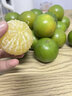 馬保果皇帝柑德慶皇帝柑當(dāng)季新鮮貢柑水果禮盒整箱 2斤精選裝 曬單實拍圖
