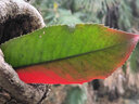 山之客（MOUNTHIKE） 自動(dòng)帳篷3-4人速開戶外防曬防雨露營(yíng)野營(yíng)帳篷家庭休閑帳 家庭出游套餐【鋁桿】 曬單實(shí)拍圖