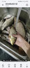中逵名古屋5代輕量大物鰱鳙釣魚竿9/10米翹嘴青魚專用傳統(tǒng)長竿臺釣竿 8m 【鰱鳙 翹嘴 青魚 輕量大物竿 】5H 曬單實拍圖
