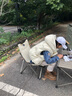 黑鹿（BLACKDEER）全地形鋁合金蛋卷桌 高低可調(diào) 戶外便攜折疊桌子露營(yíng)燒烤桌野餐桌 1蛋卷桌星際灰2宅宅椅玄米白 曬單實(shí)拍圖