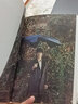 文·堺雅人 健康的日子+文·堺雅人 憧憬的日子 共2冊 （日）堺雅人 曬單實(shí)拍圖