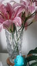川島屋花瓶擺件客廳插花高級(jí)感輕奢高檔花器玻璃創(chuàng)意水培花瓶 波西米亞花瓶(七彩) 曬單實(shí)拍圖