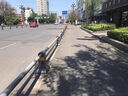 成都機非道路護欄市政中央隔離欄車(chē)輛交通分流欄人行道防撞欄桿c 60公分高 曬單實(shí)拍圖