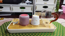 鳳陶凰（FENG TAO  HUANG）小型茶盤(pán)家用輕奢現代辦公室茶臺功夫茶具茶海簡(jiǎn)約干泡臺托盤(pán)戶(hù)外 暢雅長(cháng)方密胺茶盤(pán)-米白 曬單實(shí)拍圖