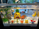 最萌魚(yú)缸水族箱客廳帶蓋透明家用小型生態(tài)創(chuàng  )意造景辦公室桌面缸金魚(yú)缸 39.5*20.5*22.5【套餐一】 曬單實(shí)拍圖