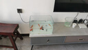 奈寵熱彎魚(yú)缸超白玻璃桌面客廳造景生態(tài)小魚(yú)缸型烏龜缸家庭陽(yáng)臺水族箱 40*24*25高清熱彎魚(yú)缸 曬單實(shí)拍圖