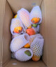 京鲜生 海南贵妃芒果 2.5kg礼盒装 单果100g+ 新鲜水果礼盒 实拍图