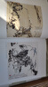 潘天壽書(shū)畫(huà)集 潘公凱主編 潘天壽繪畫(huà)書(shū)法印譜作品鑒賞解析繪畫(huà)思想學(xué)術(shù)解析 名家國畫(huà)字畫(huà)寫(xiě)意花鳥(niǎo)山水畫(huà)臨摹冊頁(yè)全集正版美術(shù)藝術(shù)文獻書(shū)籍 潘天壽書(shū)畫(huà)集 曬單實(shí)拍圖