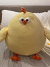 美執（MEIZHI）墩墩雞小黃雞抱枕胖墩小雞毛絨玩具玩偶女孩公仔雞玩偶睡覺(jué)抱枕 小雞 45cm 曬單實(shí)拍圖