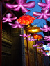 索尼 Sony DSC-WX350 WX300 WX830 WX500 WX700數(shù)碼相機二手相機 【95新】索尼DSC-WX350粉色 曬單實拍圖