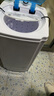 駱駝牌家用衣服脫水機甩干機單甩大容量出租房甩桶脫水桶小型單甩干桶 普通8.5公斤藍色塑料內桶 曬單實(shí)拍圖