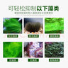 森森魚(yú)缸除藻劑水族箱除綠藻褐藻黑毛絲藻清除去青苔凈除藻綠水去苔劑 水草缸用除藻劑500ML 曬單實(shí)拍圖