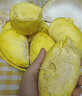 甘福園泰國金枕榴蓮新鮮果榴蓮肉單整個(gè)當季熱帶水果金枕頭帶殼批發(fā)包郵 A級精品6-7斤一個(gè)裝【果農優(yōu)選】 曬單實(shí)拍圖