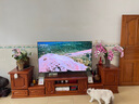 SHARP夏普電視55/65/75英寸MEMC運(yùn)動(dòng)補(bǔ)償?shù)退{(lán)光護(hù)眼遠(yuǎn)場(chǎng)語(yǔ)音HDR10一鍵投屏 4K超高清電視 FL1A系列 65英寸 智慧語(yǔ)音護(hù)眼4K超清電視 免費(fèi)上門(mén)安裝(座裝) 曬單實(shí)拍圖