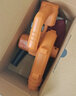 東成鋰電吹風(fēng)機(jī) WQF02-28鼓風(fēng)機(jī)20V2.0單電車載吹灰家用強(qiáng)力除塵器機(jī) 曬單實(shí)拍圖