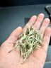 新益號福鼎白茶特級白毫銀針白牡丹新益號古樹(shù)茶上等白茶銀針茶葉禮盒裝 【福鼎特級白毫銀針】80克*1罐 曬單實(shí)拍圖