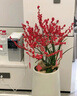 芙洛拉花園【兩小時(shí)達】北美冬青盆栽辦公室內綠植新年裝飾客廳植物年宵花卉 A款 曬單實(shí)拍圖