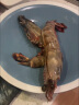 京鲜生活冻黑虎虾 海鲜礼盒 大虾虎虾斑节虾 1kg 4-5个头 单只长28cm 实拍图