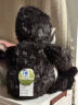 NICI儿童节礼物生日猩猩猴子毛绒玩具可爱玩偶毛绒娃娃毛绒公仔送男孩 实拍图