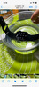 Dsheng適用apple watch電池更換蘋(píng)果智能手表電池watch1代2代3代Gps LTE版 適用蘋(píng)果Watch 4代[44MM]手表電池 曬單實(shí)拍圖