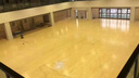 運動(dòng)木地板室內體育籃球館羽毛球館舞臺健身房實(shí)木運動(dòng)地板籃球場(chǎng) AB級運動(dòng)木地板 曬單實(shí)拍圖