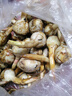 中鮮生云南新鮮白茨菇現(xiàn)挖慈姑大果 時令生鮮蔬菜 3斤裝（大果） 曬單實拍圖