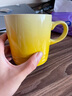 酷彩（Le Creuset） 炻瓷馬克杯子咖啡早餐辦公家用茶水杯350毫升馬克杯 倫敦系列350毫升馬克杯尼斯陽光 曬單實拍圖