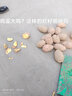 山西嵐縣土豆種子籽一級(jí)原種脫毒馬鈴薯紅皮黃心洋芋青薯9號(hào) 帶箱10斤(一級(jí)種雞蛋大小) 曬單實(shí)拍圖