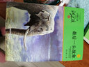 正版 狼王夢 動物小說大王沈石溪全套40冊36冊 沈石溪全集品藏書系 狼王夢斑羚飛渡最后一頭戰(zhàn)象等兒童文學(xué)中小學(xué)生課外書 沈石溪動物小說全套 當當書店官方旗艦店 最后一頭戰(zhàn)象（升級版） 曬單實拍圖