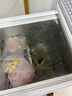 志高（CHIGO）家用雙溫蝶形門冰柜一級能效 商用大容量 雙箱冷藏冷凍側(cè)掀門臥式冰箱內(nèi)置鋼化玻璃門帶鎖省電低音 【蝶形雙溫】306升內(nèi)置玻璃門冷柜 曬單實拍圖