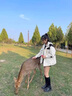 沖鋒.衣男春秋季情侶軟殼外套防風防水三合一可拆卸情侶登山服女 男女同款-黑色-單外套 2xl 曬單實拍圖