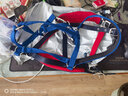 Cavassion 防磨馬籠頭 牽馬籠頭 籠頭 防磨刺繡精品  馬用裝備洛奇8410004 藏青色 XL 曬單實(shí)拍圖