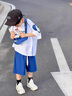 迪士尼（Disney）男童內(nèi)褲純棉不夾屁屁男寶寶三角褲頭小男孩小孩短褲秋冬兒童褲衩 大象三角4條裝  L碼建議30-40斤 曬單實(shí)拍圖