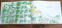 【新華正版】一年級經(jīng)典必讀書(shū)目 一年級課外閱讀必讀 書(shū)籍 繪本/注音版/單本/全套等可選： 阿利的紅斗篷 曬單實(shí)拍圖