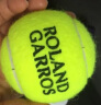 Wilson威尔胜全场地专业用球 法网联名款 Roland Garros   WRT126400 实拍图