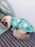 阿莫爾夏季薄款狗狗衣服貓咪衣服泰迪博美比熊衣服幼犬貓咪寵物透氣衣服 綠色 M-建議6-8斤  背長30cm 曬單實(shí)拍圖