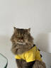曇蓓漫寵物衣服小型犬狗狗衣服搞笑貓咪夏季薄款衣服泰迪法斗透氣衣服 寵團外賣（M碼建議6-8斤） 【升級大容量口袋設(shè)計】 曬單實拍圖