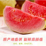 【順豐】黃金軟心芭樂(lè ) 冰激淋胭脂紅芭樂(lè ) 軟糯雞屎果 新鮮水果 5斤【紅心芭樂(lè )】 曬單實(shí)拍圖
