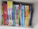 王一梅童書·經(jīng)典長篇童話--木偶的森林 曬單實(shí)拍圖