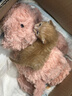 捉趣吉姆尼河馬毛絨玩具可愛公仔軟小河馬玩偶抱睡布娃娃女生生日禮物 河馬吉姆尼 全長約35cm 曬單實拍圖