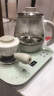 小熊（Bear）煮茶器煮茶壶 0.8L蒸汽喷淋式蒸茶壶养生壶电水壶热水壶304不锈钢烧水壶茶具黑茶ZCQ-A08E1 实拍图