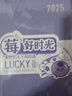 慢作 2026年日程本365天筆記本本子記事本每日計劃本插筆商務(wù)日記本效率手冊工作辦公年歷本子可定制 【蘭若胭紫】A5/加厚紙張 不洇不透 A5 曬單實(shí)拍圖
