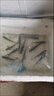 草魚(yú)魚(yú)苗淡水養(yǎng)殖食用活魚(yú)食蚊餌料小魚(yú)苗脆肉鯇魚(yú)觀賞冷水魚(yú)特大草魚(yú)苗批發(fā) 10條10-13厘米草魚(yú)苗【加10%防損】 曬單實(shí)拍圖