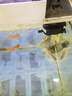 森森魚缸HR原廠標(biāo)配水泵led燈HE水泵配件 HR-380標(biāo)配的水泵(HQJ-500G黑) 曬單實(shí)拍圖